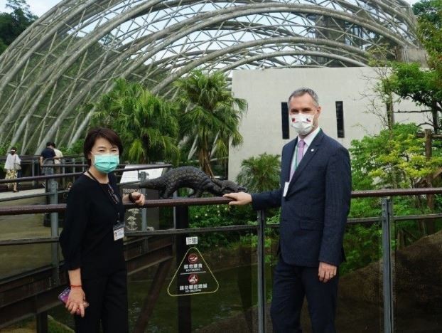 Le maire de Prague se prépare avec impatience à l'arrivée des pangolins du zoo de Taipei