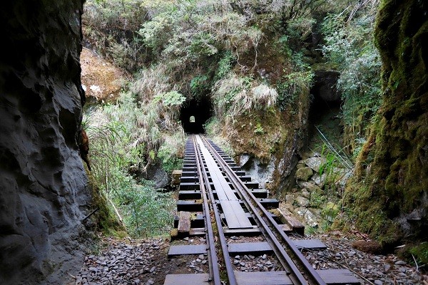 Taiwan’s Alishan rail trail to close 3.5 months for repairs in mid-January  