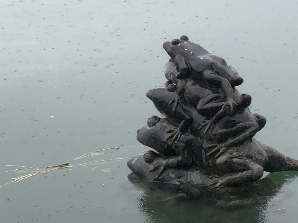 Photo of the Day: Water level reaches top frog at Taiwan's Sun Moon Lake