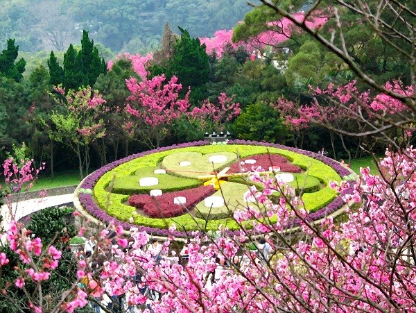 Tổng hợp các lễ hội hoa ở Đài Bắc từ tháng 1 đến tháng 3 - Tôi ở Đài Loan