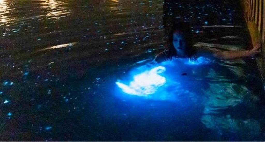 Photo of the Day: Bathing in 'blue tears' in Taiwan's Kinmen