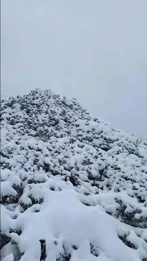 Taiwan's Xueshan sees most snow in 5 years
