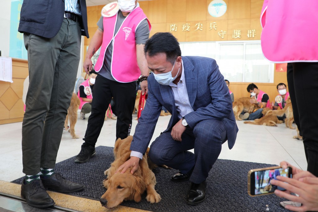 Over 1,000 register to adopt golden retrievers rescued from south Taiwan puppy mill