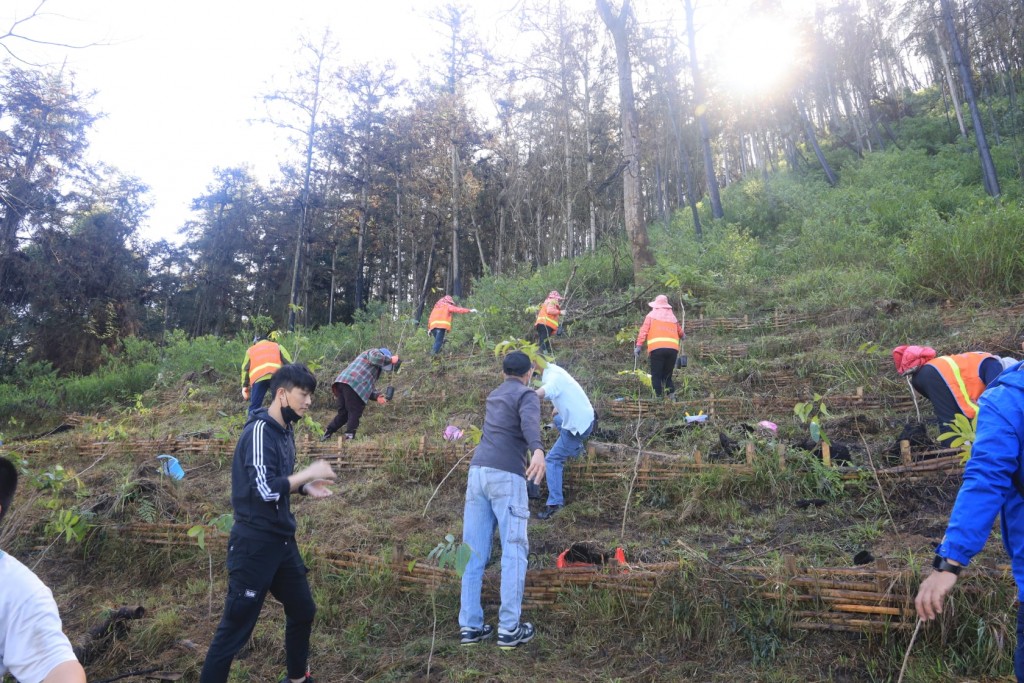 Volunteers plant trees to rehabilitate central Taiwan forest after fire