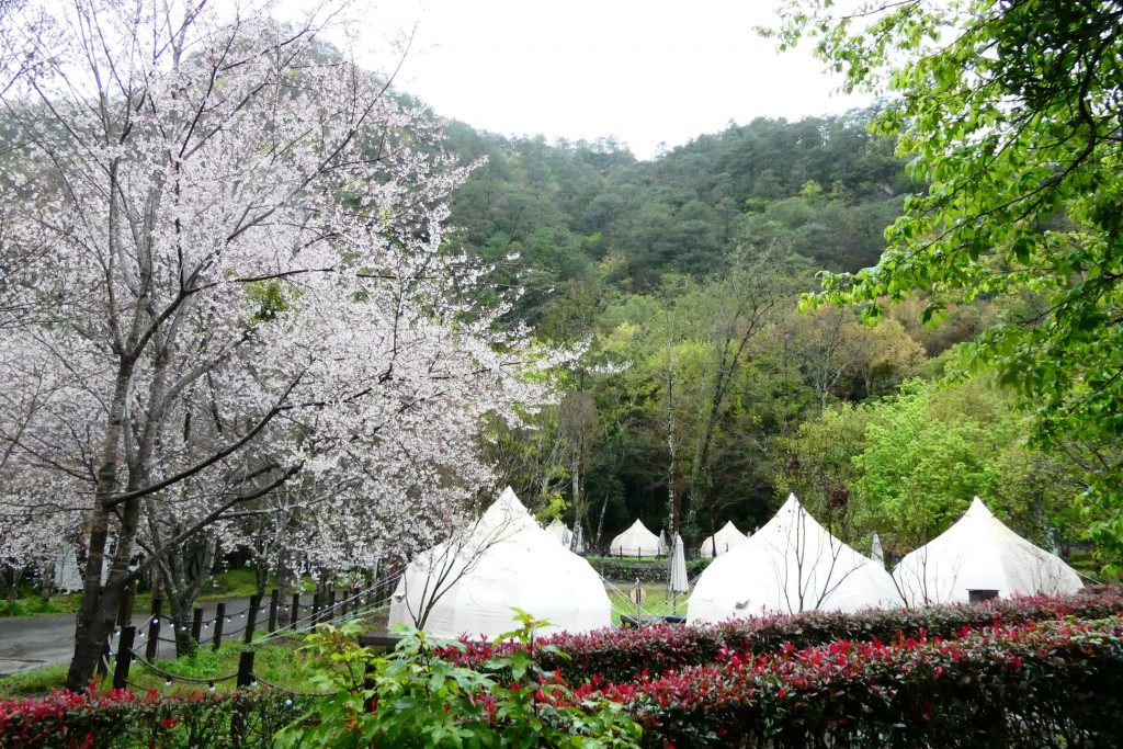 台灣南投奧萬大遊樂區導入「森林星空帳篷」 顛覆傳統賞楓印象