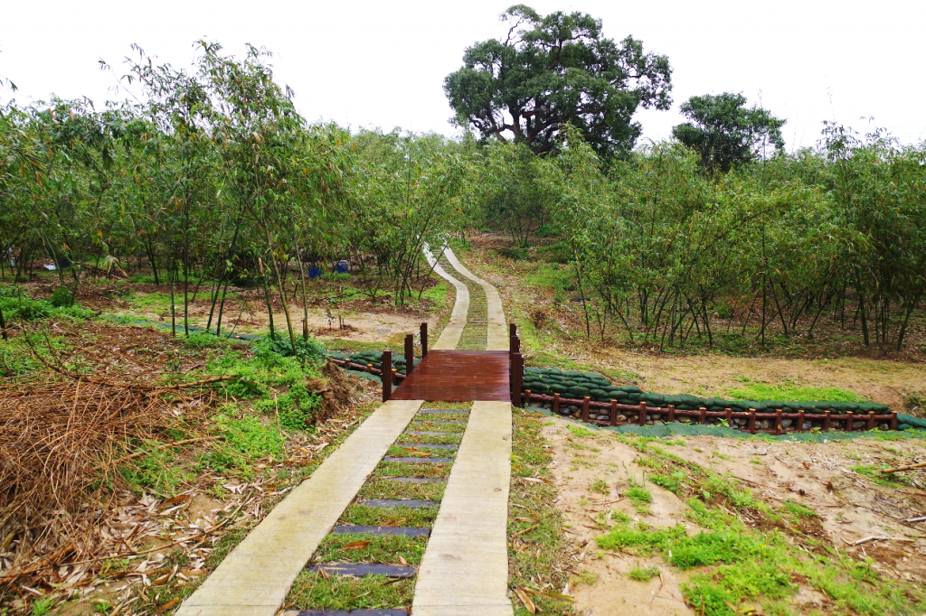 五股綠竹社區改善竹筍生產環境 產銷、休憩更便利