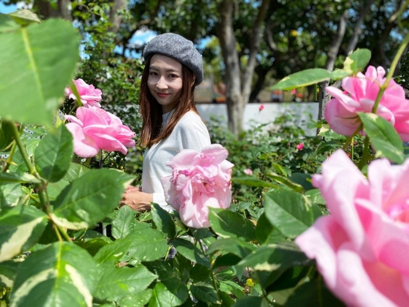台北玫瑰展花期倒數 海芋、繡球花接棒