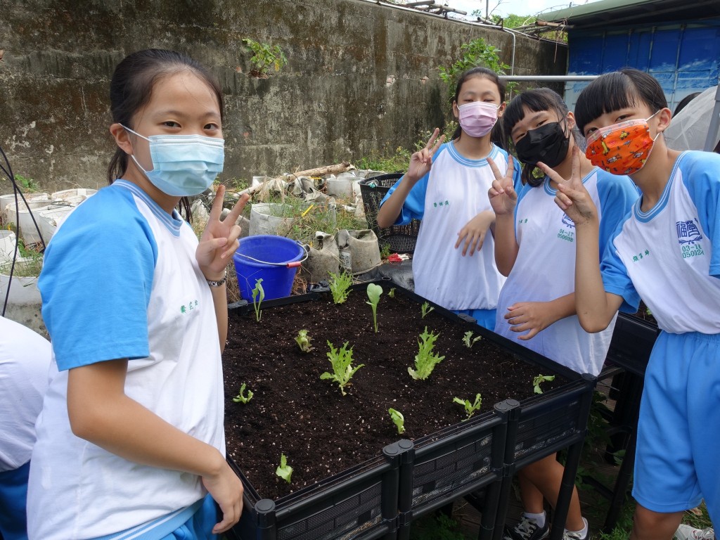 增加台灣學童參與食農教育　桃園場推校園智慧小農場