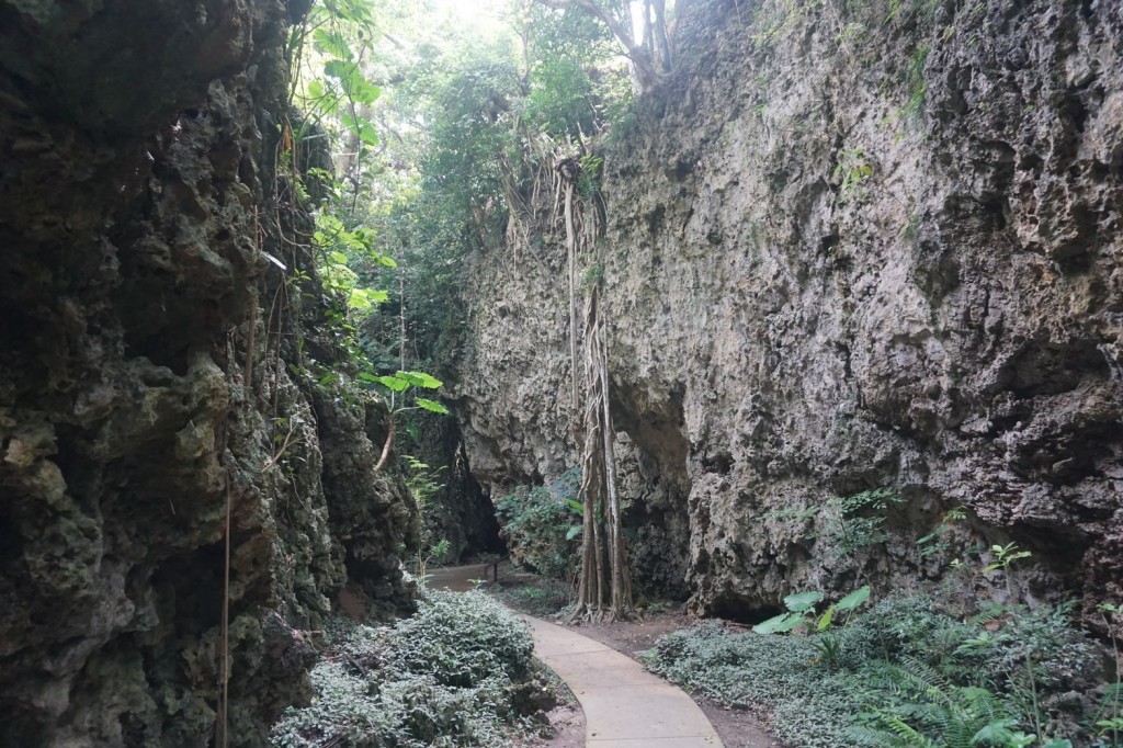 林務局整理台灣森林旅遊指南　公開12星座暑假造訪療癒秘境