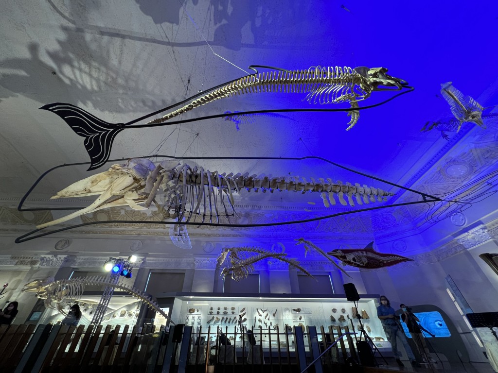 溜小孩囉！台博館「古生物大展」AR召喚史前巨獸　重返大滅絕現場近距離感受恐龍大腿骨