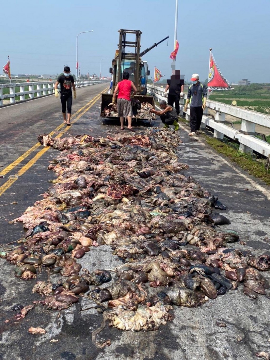 Photos show pig organs spilled across bridge in Taiwan
