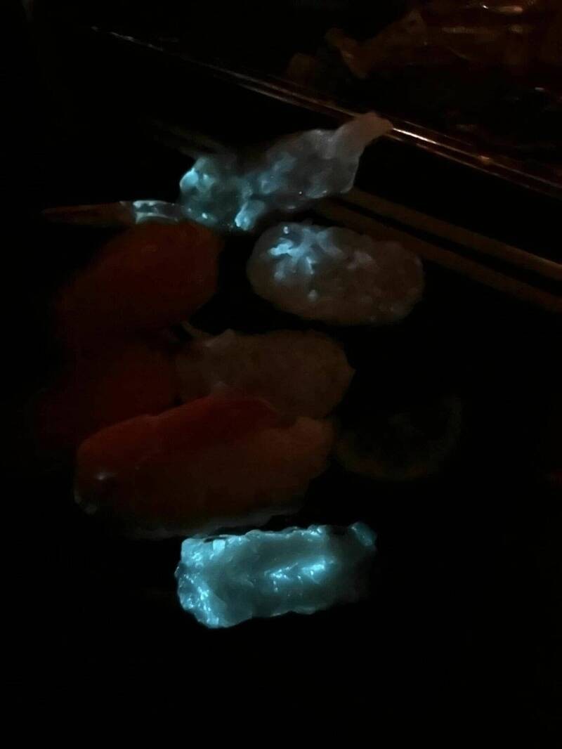 Taipei takeout sushi seen glowing in dark