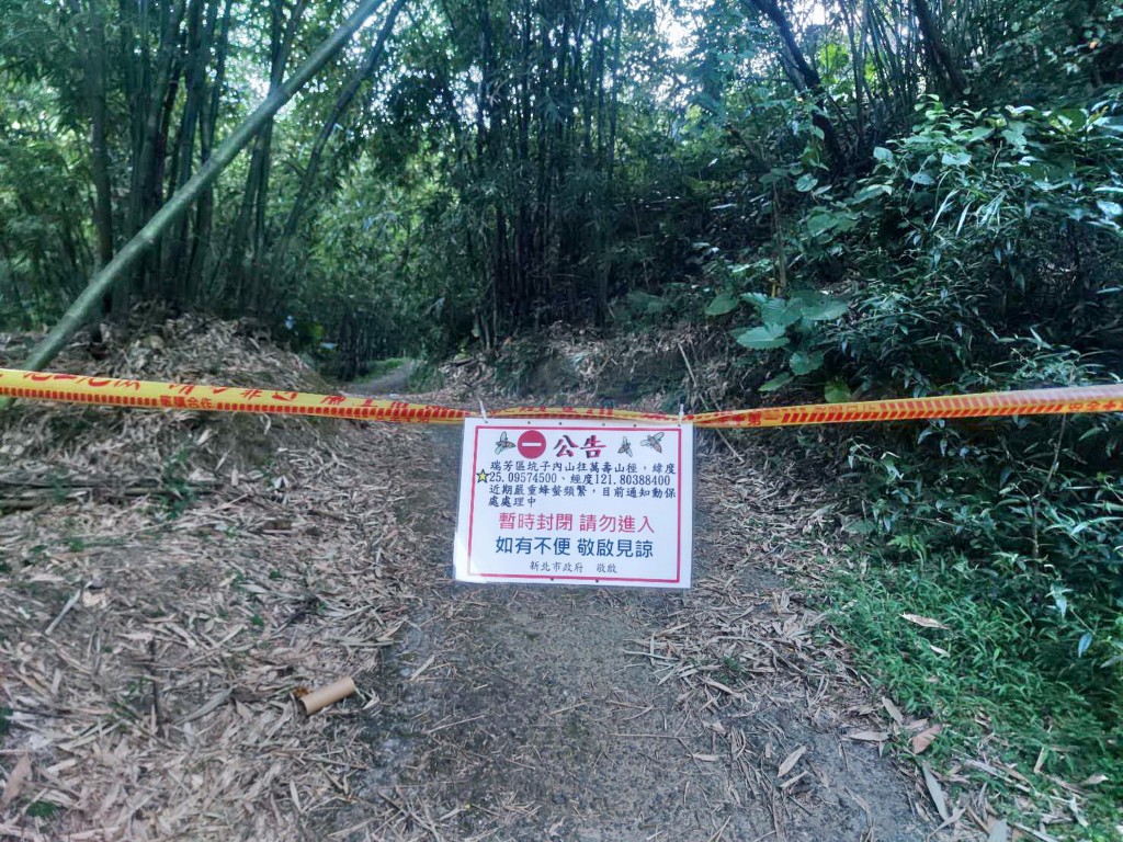 【更新】台灣新北瑞芳11登山客遭虎頭蜂螫傷•其中2人不治　醫師: 9月是旺季•被螫勿揉搓