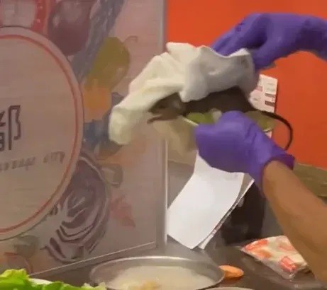 New Taipei restaurant in hot water after rat plops on plate