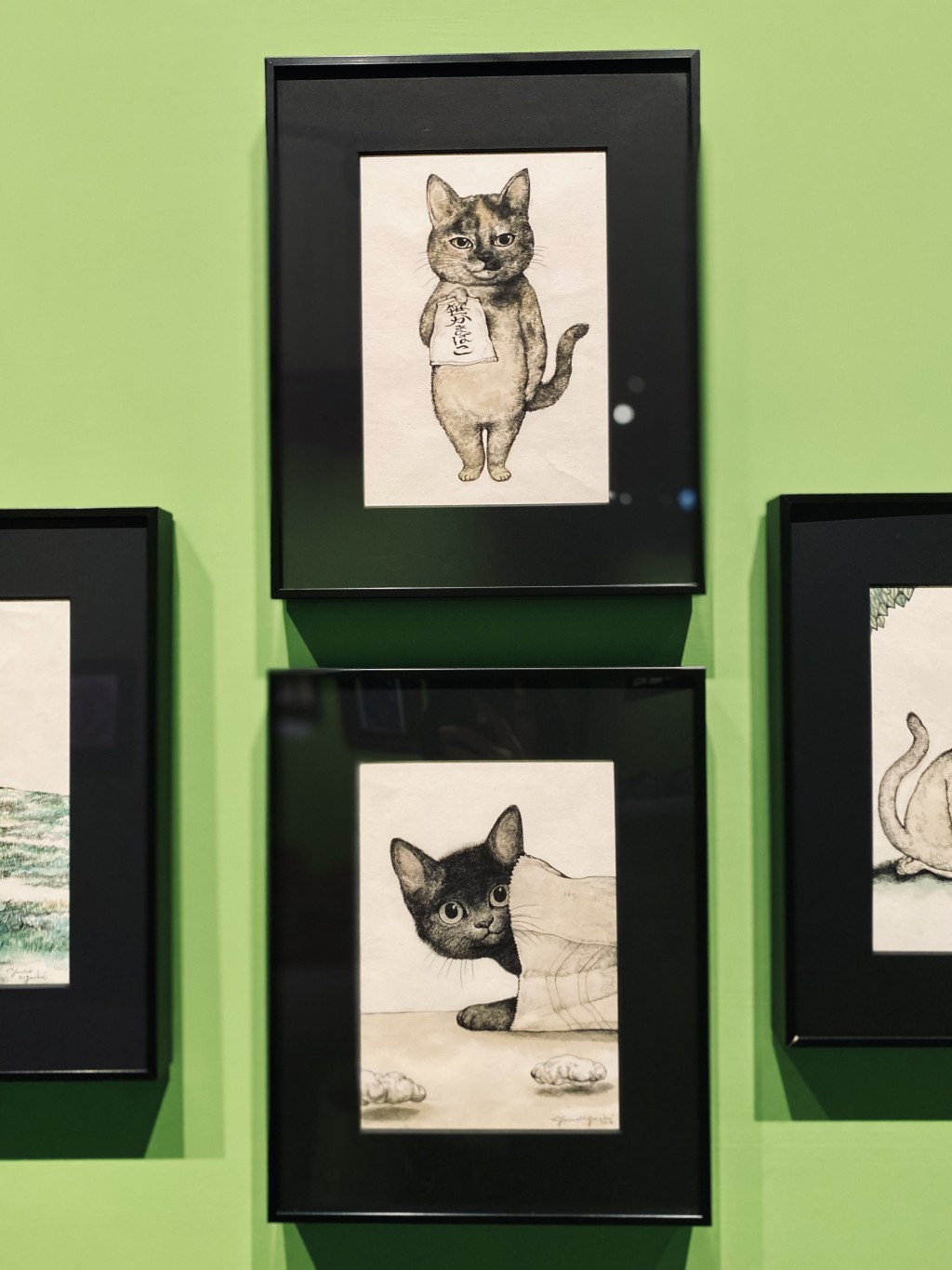 貓奴注意！日本插畫家暗黑美學「奇幻動物森林」進駐台北　迪士尼聯名首度全球亮相