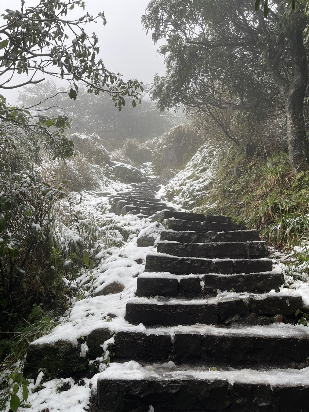 Photo of the Day: Snow on Qixingshan, Taipei's tallest mountain