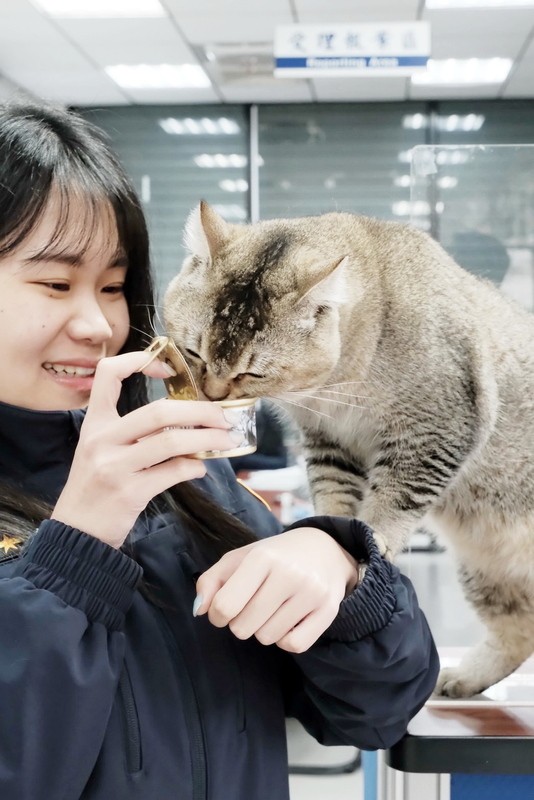 Photo of the Day: New Taipei police precinct pampers lost cat