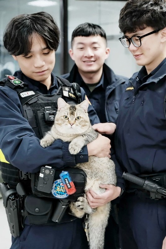 Photo of the Day: New Taipei police precinct pampers lost cat
