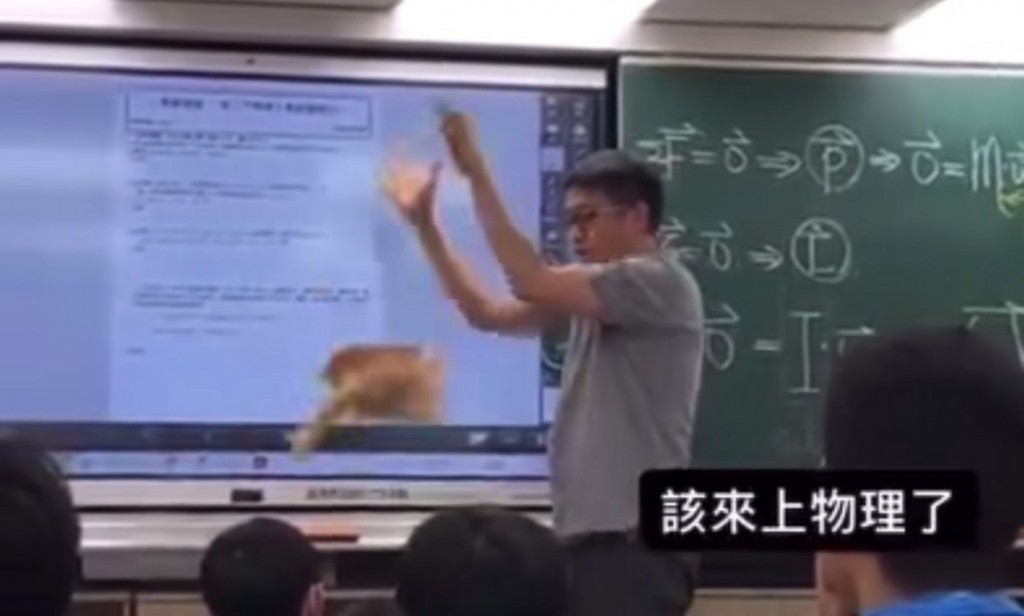 Taipei teacher uses cat in physics experiment, angers feline lovers